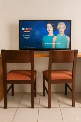 Uma televisão e/ou sistema de entretenimento em Maestro
