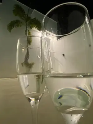 A planta de casa blanca