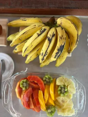 Refeições no hotel ou nas proximidades