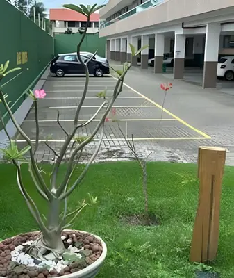 A planta de BP309 - Ap lindo e decorado a 100 m da praia do Cumbuco, com o melhor custo-benefício