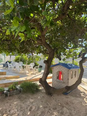 Um jardim no exterior de Casa Beach park