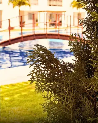 A piscina em ou perto de SW Rustica Apartamentos