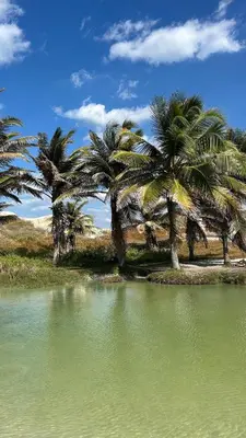 A planta de Casa Mar e Vento Quixaba Quixaba Sea and wind house