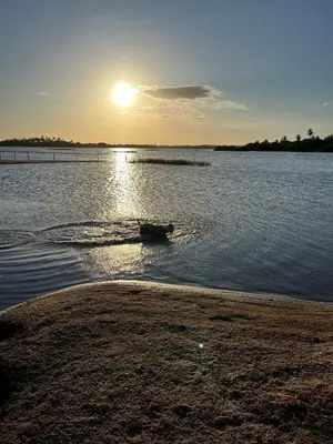 Paisagem natural perto da casa de férias