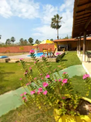 Um jardim no exterior de Pousada Sítio Boas Novas