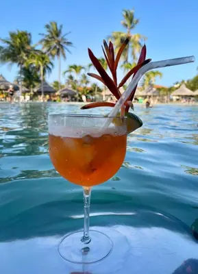 Bebidas em Apto EnCanto do Mar - Apenas 50m da praia e piscinas! Aquaville Resort