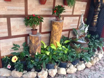 Um jardim no exterior de Bali Motel (Adults Only)