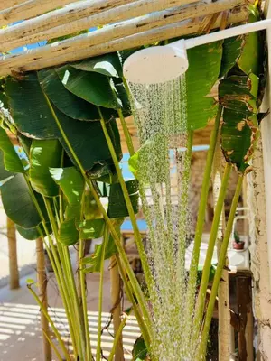 Um jardim no exterior de Chalet Paraiso Canoa 3 na praia - Canoa Quebrada