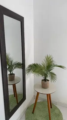 A planta de Summer House
