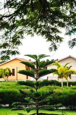 Um jardim no exterior de Hotel Via Do Sol Eco Chalés