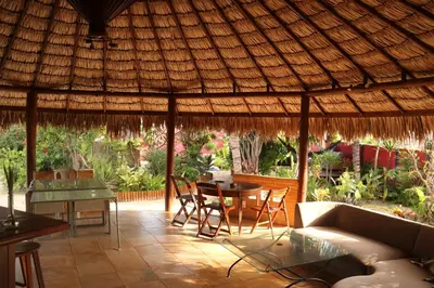 Um jardim no exterior de Pousada Villa Botânica