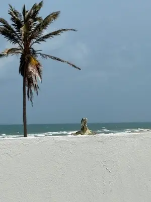 Paisagem natural perto da casa de férias