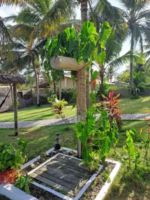 Um jardim no exterior de Residencia MAPAMÁ Beberibe