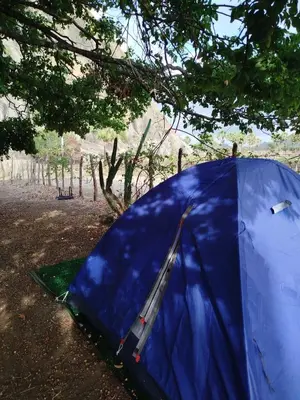 A planta de Abrigo de Montanha Quixadá