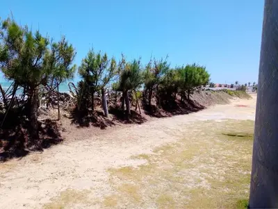 Paisagem natural perto da casa de férias