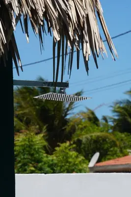 A planta de Casa Uai - Coziness on the coast of Ceará
