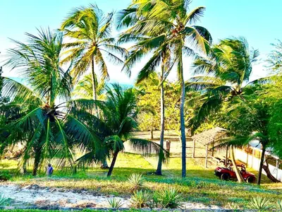 Um jardim no exterior de Eco Vila frente al mar