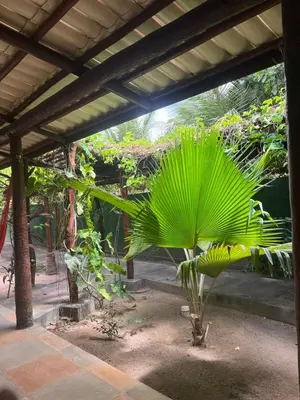 Um jardim no exterior de Pousada Imperio dos Bambus