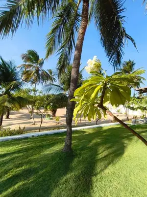 Um jardim no exterior de Villa Tarifa Icaraizinho Suítes