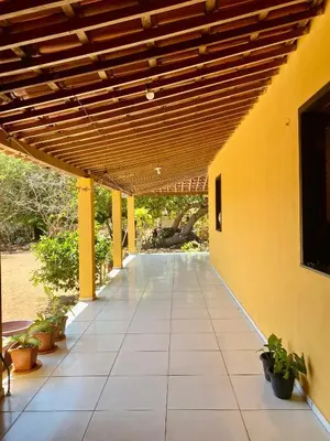 Um jardim no exterior de Casa da Helô