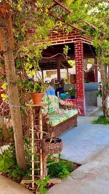 Um jardim no exterior de Pousada Brisa Mineira