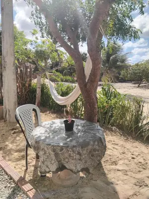 Um jardim no exterior de Casa Jaya