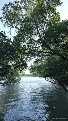 Paisagem natural perto deste parque de campismo