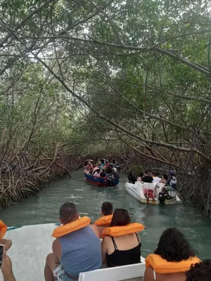 Paisagem natural perto deste parque de campismo
