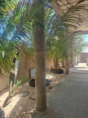 Um jardim no exterior de Casa