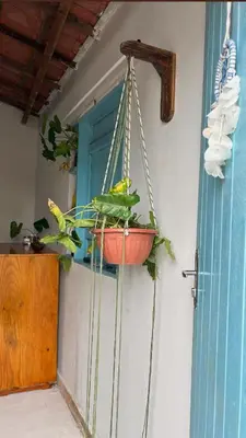 A planta de Chalé blue