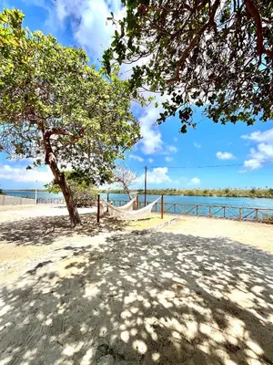 Paisagem natural perto da casa de férias
