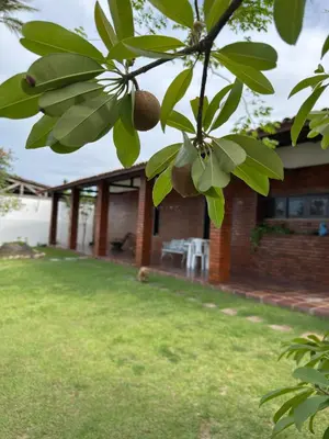Um jardim no exterior de Pousada Brisa do Oceano Cumbuco - Quartos privativos e acomodações compartilhadas