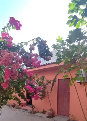 O edifício onde o apartamento está situado
