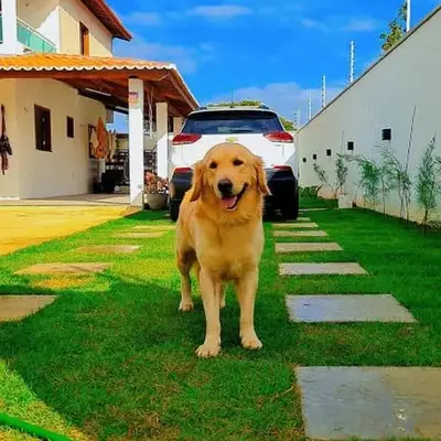 Casa Praia Tracuá