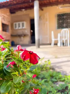 Um jardim no exterior de casa amarela trairi flecheiras