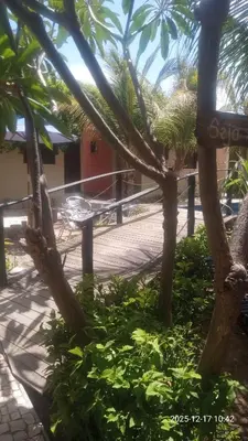 A planta de Chales do Farol