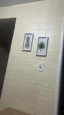 A planta de Aconchego