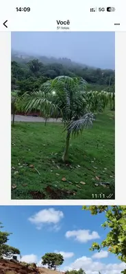 Paisagem natural perto do alojamento de turismo selvagem