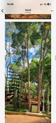 Paisagem natural perto do alojamento de turismo selvagem