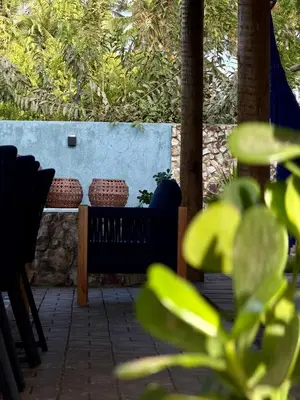 Um jardim no exterior de Maré House
