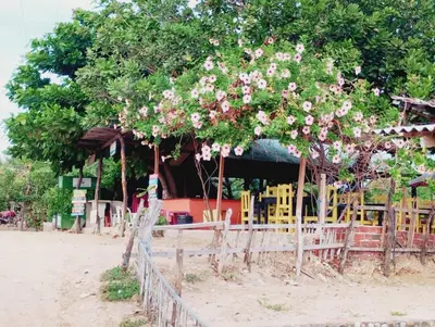 Um jardim no exterior de Pedacinho dCéu - entre a praia e a lagoa