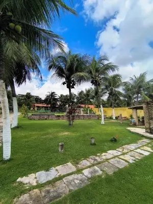 Um jardim no exterior de Casa tabuba-caucaia