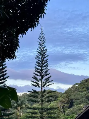 A planta de Chalet - Nature and Refuge in Guaramiranga