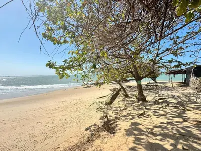 Paisagem natural perto da casa de férias