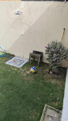 A planta de A quiet house