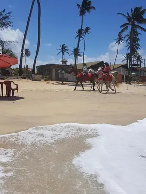 Uma praia em ou perto do apartamento