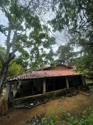 A planta de Sítio na Serra de Mulungu