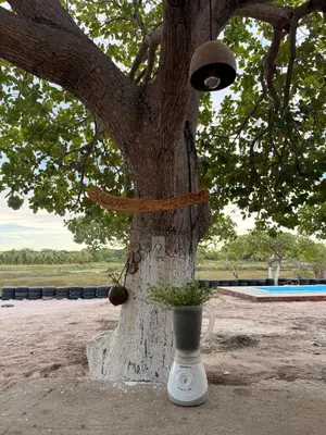 A planta de Recanto Paraguay - House with pool