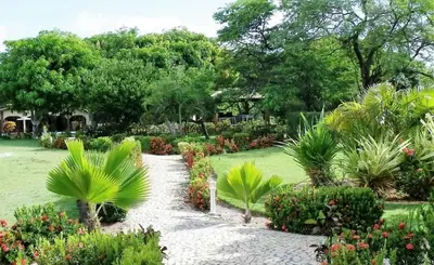 A planta de Agreste casa de praia e fazenda