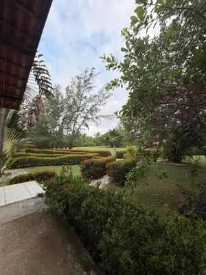 A planta de Agreste casa de praia e fazenda